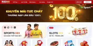Tìm hiểu nguồn gốc và nền tảng pháp lý của RED88