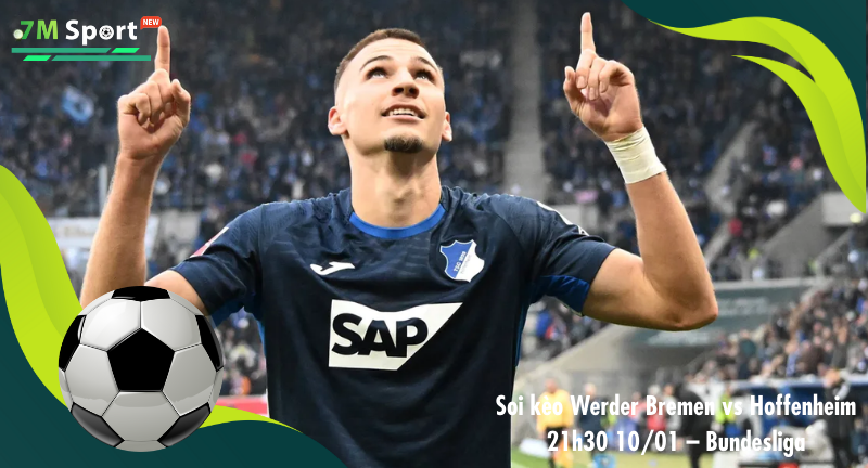 Đội hình dự kiến trước trận Werder Bremen vs Hoffenheim Đội hình dự kiến trước trận Werder Bremen vs Hoffenheim